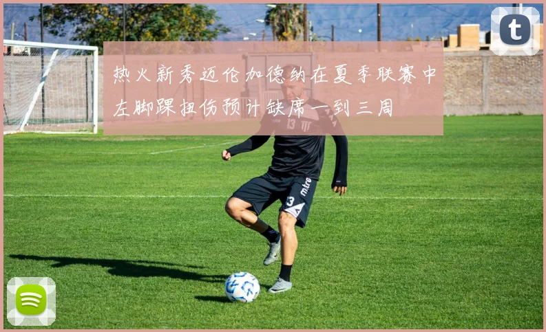 热火新秀迈伦加德纳在夏季联赛中左脚踝扭伤预计缺席一到三周