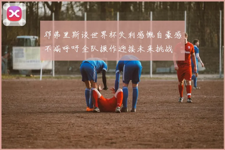 邓弗里斯谈世界杯失利感慨自豪感不减呼吁全队振作迎接未来挑战
