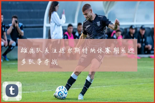 雄鹿队关注迈尔斯特纳休赛期或迎多队争夺战